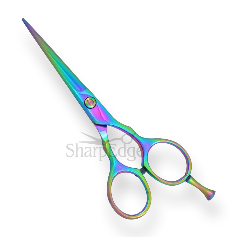 Professional Hair Dressing Scissors 